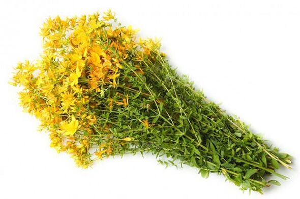 St. John's wort, which helps increase the strength of middle-aged men